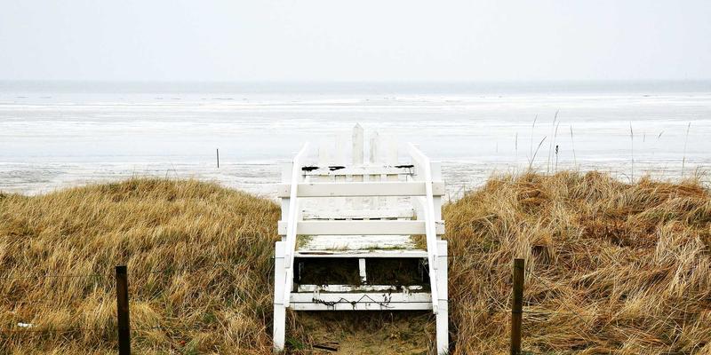 企业培训如何驱动组织进化：广州同方CM的管理咨询实践启示