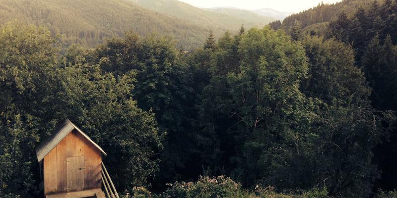 企业战略解码与执行落地培训：如何将战略转化为团队行动