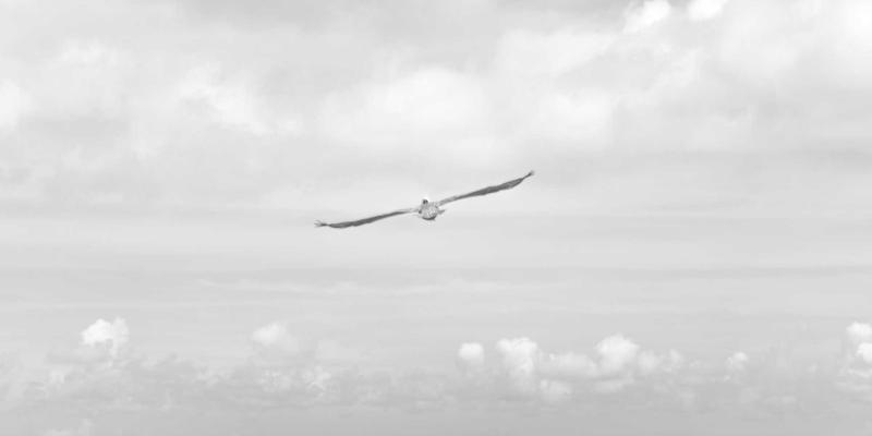 企业管理培训3.0时代：如何通过系统化培训与咨询驱动组织持续增长