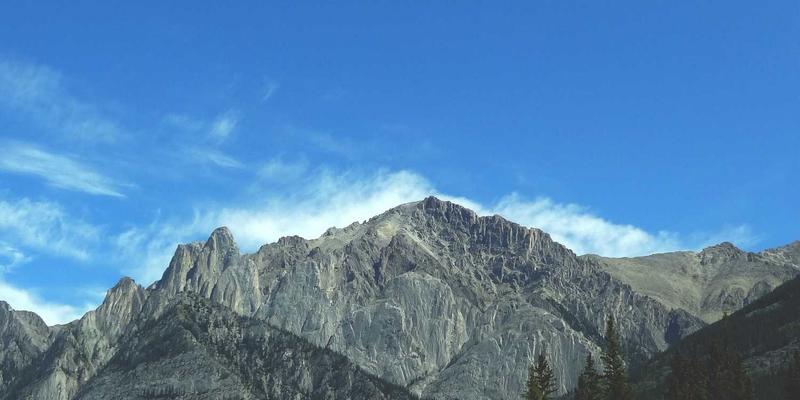 企业管理培训57：如何通过管理咨询与广州同方CM实现组织效能突破