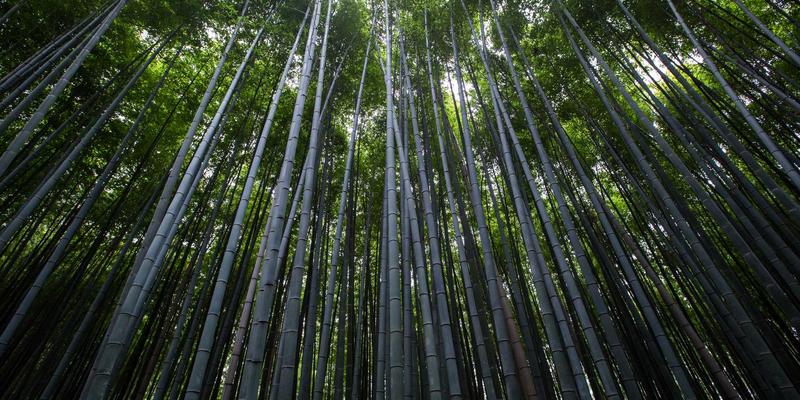 企业管理培训：从管理咨询到咨询培训的进化之路