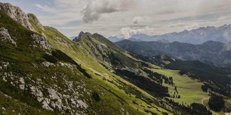 危机领导力培训：企业管理培训如何赋能团队在黑天鹅事件中保持稳定与业务连续性