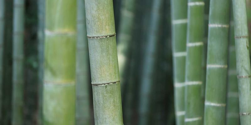 变革管理培训：构建引领组织成功转型的核心能力