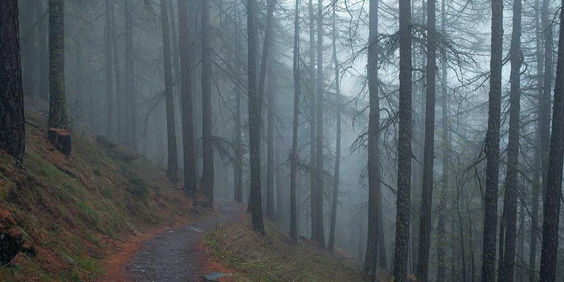 广州同方CM：企业管理培训如何赋能组织变革与战略落地