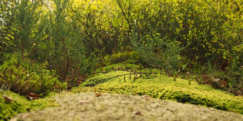 广州同方CM:企业管理培训如何赋能组织成长与战略落地