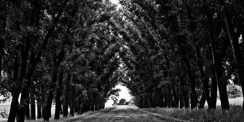 广州同方CM:企业管理培训如何赋能组织持续发展