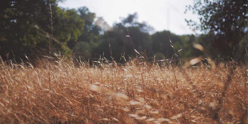 广州同方CM：企业管理培训如何赋能组织持续增长