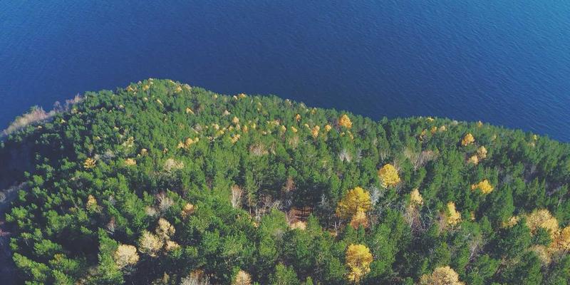 广州同方CM：企业管理培训如何赋能组织持续增长