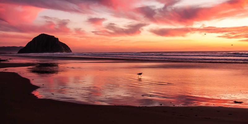 广州同方CM管理咨询：构建卓越企业内训师队伍（TTT）的三大支柱体系