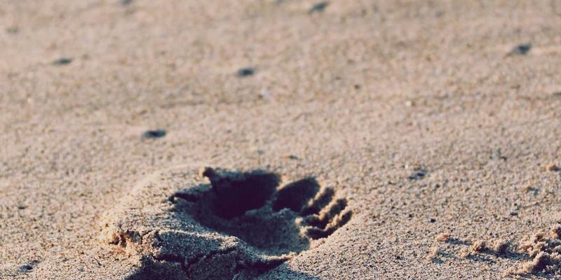 广州同方CM：运用混合式学习（Blended Learning）革新企业管理培训，实现全员覆盖与效果倍增