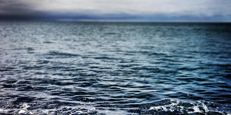 数字化转型下的管理变革：培训管理者必备的数字领导力