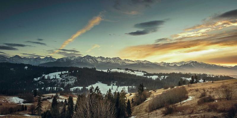 新生代员工（Z世代）管理与激励：企业培训与管理咨询必须掌握的领导策略