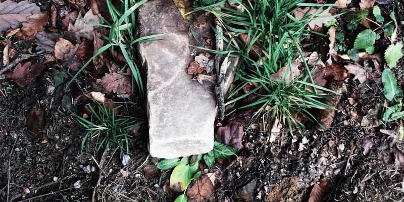 构建卓越企业内训体系：咨询培训视角下的内训师培养与课程开发实战指南