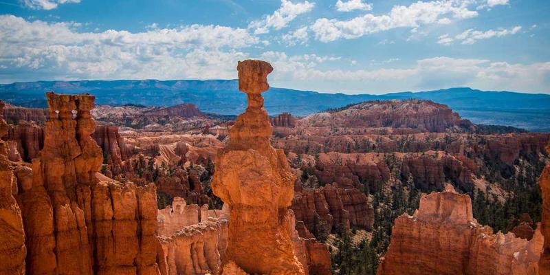 赋能组织未来：企业导师制与关键岗位带教能力专项培训的深度价值
