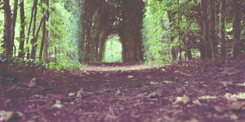 跨文化团队管理培训：广州同方CM解析全球化企业的领导力挑战与解决方案