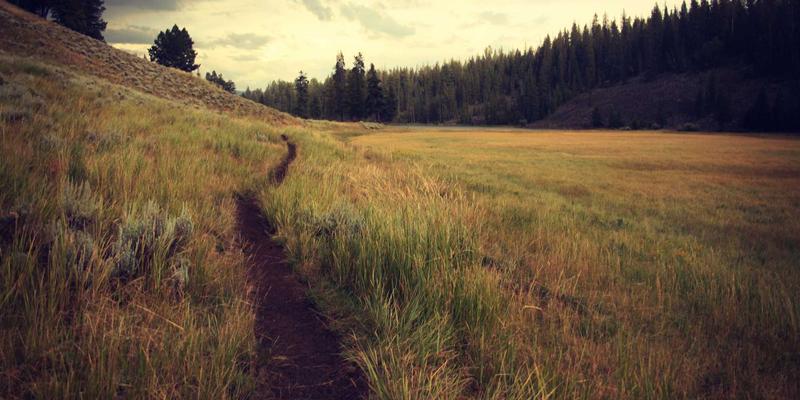 非人力资源经理的人力资源管理培训：直线经理的选育用留之道 | 广州同方CM