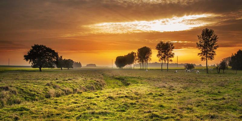 高效会议管理与Facilitation技巧培训：提升组织决策与协作效率的企业必修课